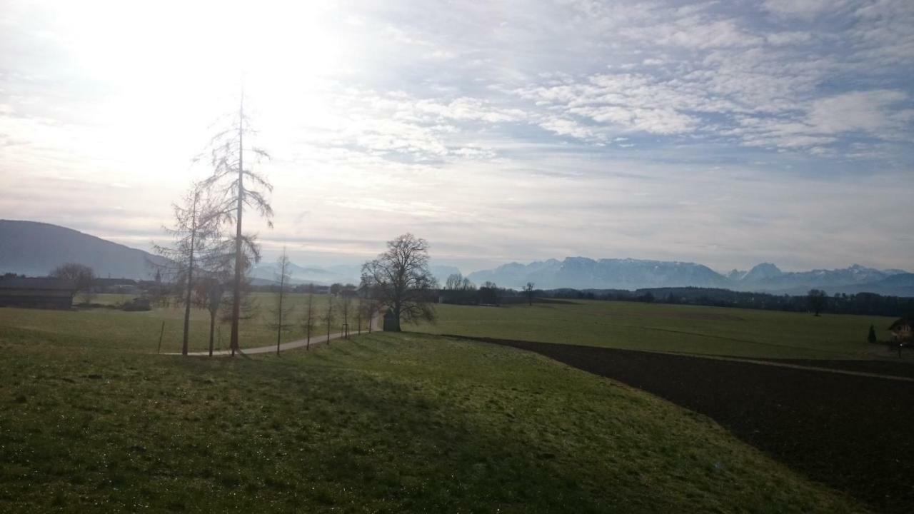 Ferienwohnung An Der Idyllischen Salzachschleife Naehe Salzburg 劳芬 外观 照片