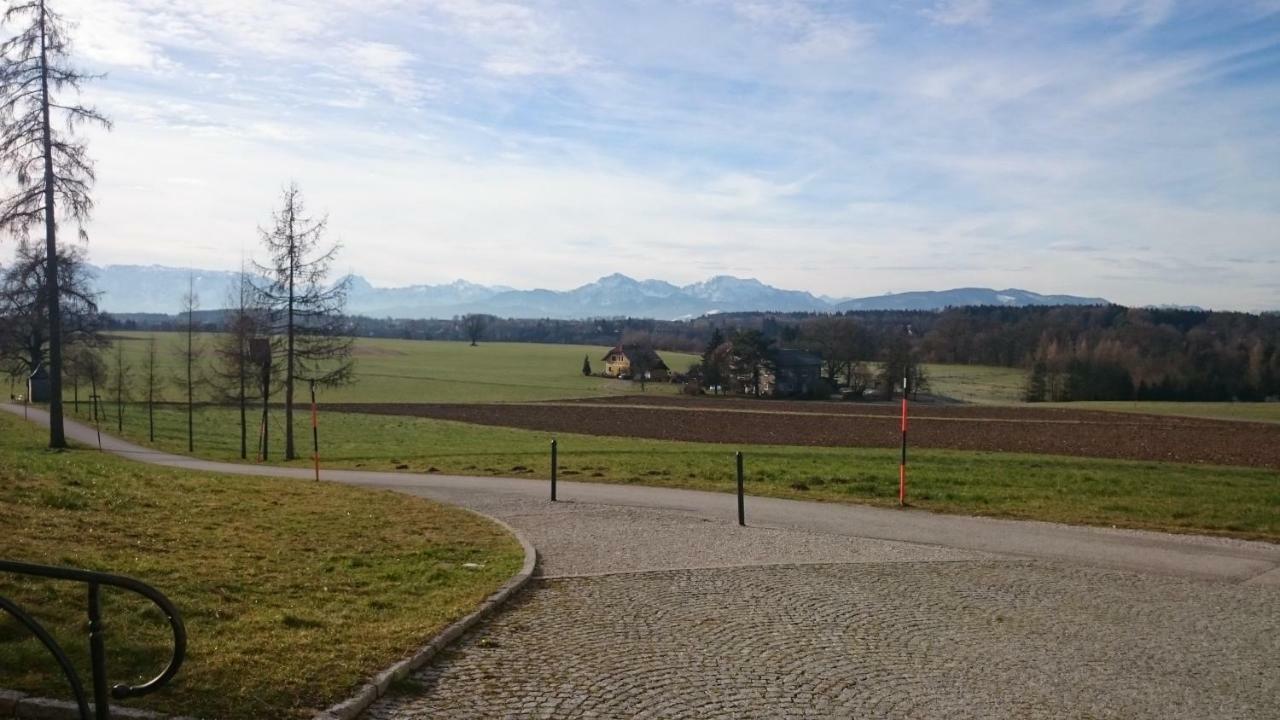 Ferienwohnung An Der Idyllischen Salzachschleife Naehe Salzburg 劳芬 外观 照片
